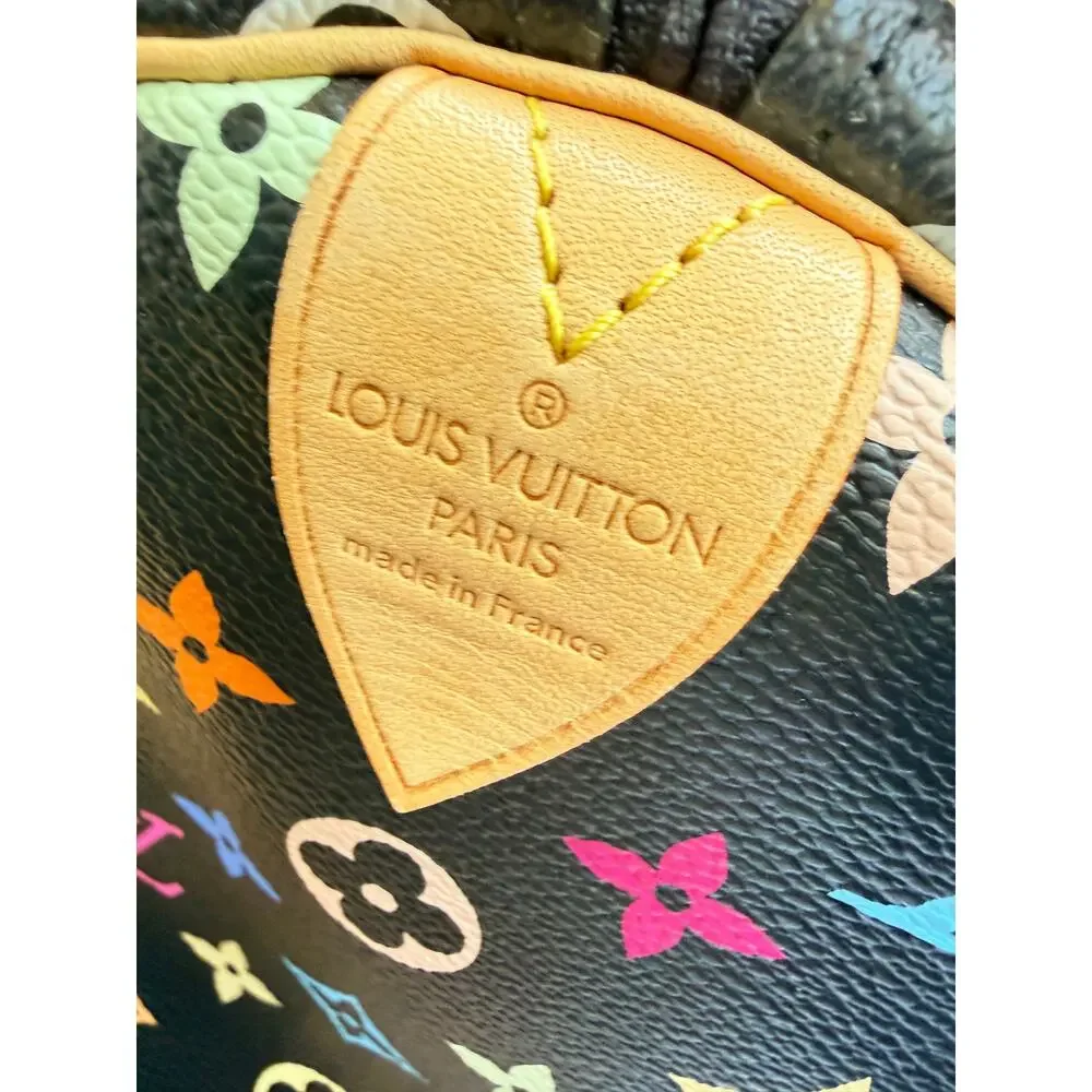 Louis Vuitton color multicolor
